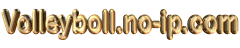 Volleyboll.no-ip.com